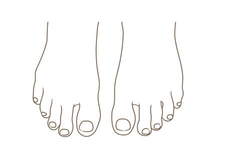 Female or male foot sole, barefoot, top view. Toenails with pedicure.Vector illustration, hand drawn cartoon style isolated on white, black and white contourのイラスト素材