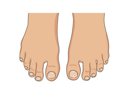 Female or male foot sole, barefoot, top view. Toenails with pedicure.Vector illustration, hand drawn cartoon style isolated on white.のイラスト素材
