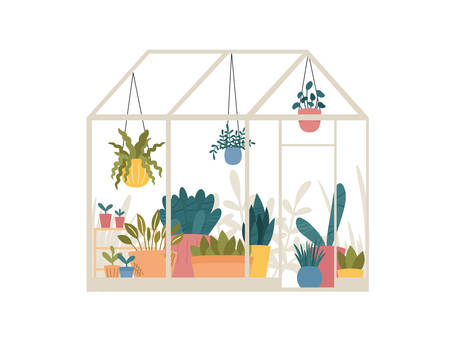 Greenhouse with potted and hanging garden plants vector illustration, cute Scandinavian Hygge style.Glass green house seasonal greeting card.Conservatory with growing plants in pots and planters.のイラスト素材
