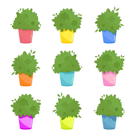Set of green inhouse plants in different coloured pots. Urban kitchen windowsill garden illustration. Lush green culinary herbs collection in cartoon style. Vector isolated on whiteのイラスト素材