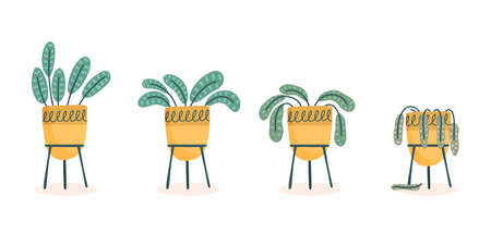 Stages of withering, a wilted flower in a vase, abandoned plant without watering and care. Cut flower dying. Vector illustration, handdrawn organic flat style.のイラスト素材