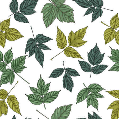 Green tree ash leaf seamless pattern. Big leaves on white background, vector illustration.