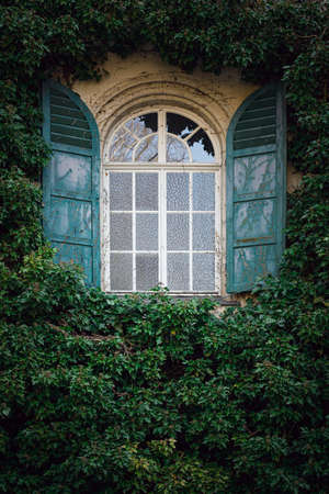 Detail of the old building, window vintage.の写真素材