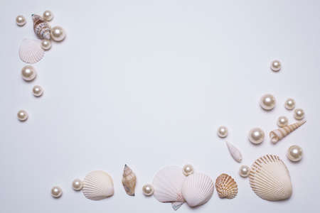 Sea shells and pearls on whiteの写真素材
