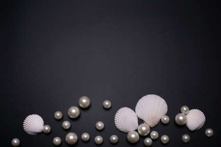 Sea shells and pearls on blackの写真素材