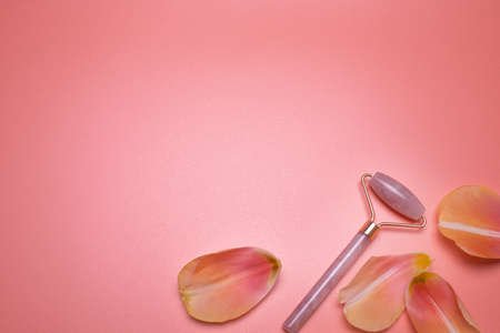 Beauty background. Rose quartz face roller and petals on the pink background, with free space for text.の写真素材
