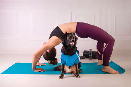 Sport with a dog. Attractive young woman working out on the blue fitness mat with her dog. Athletic woman doing exercise. Strength and motivation, sport and healthy lifestyle. Female fitness.の写真素材