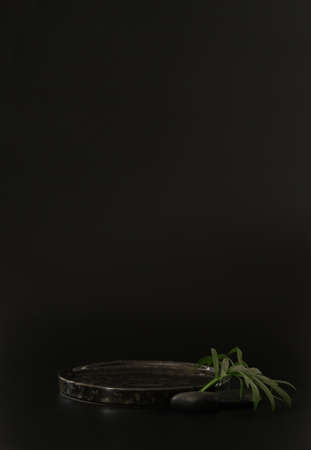 Black podium on the black background with tropical leaves and spa rocks. Podium for product, cosmetic presentation. Creative mock up. Pedestal or platform for beauty products.の写真素材