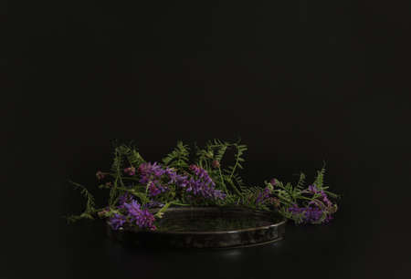 Black podium on the black background with flowers. Podium for product, cosmetic presentation. Creative mock up. Pedestal or platform for beauty products.の写真素材