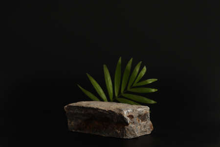 Rock podium on the black background with tropical leaves. Stone podest for product, cosmetic presentation. Creative mock up. Pedestal or platform for beauty products.の写真素材
