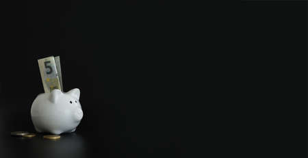 Piggy bank for saving money. Wealth, budget, investment, finance concept. Money box, piggybank on...