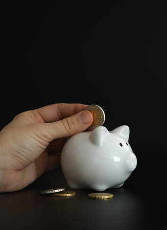 Hand putting money coin into piggy bank for saving money. Wealth, budget, investment, finance...
