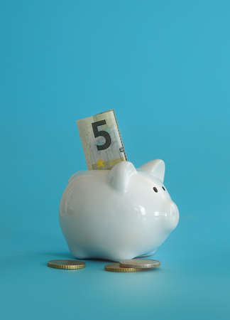 Piggy bank for saving money. Wealth, budget, investment, finance concept. Money box, piggybank on...