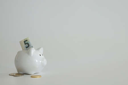Piggy bank for saving money. Wealth, budget, investment, finance concept. Money box, piggybank on...