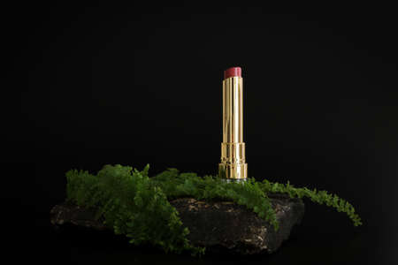 Lipstick standing on stone podium. Lipstick presentation on the black background.の写真素材