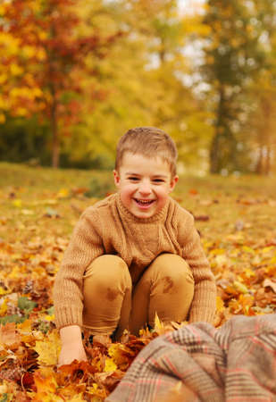 Outdoor fun in autumn. Child playing with autumn fallen leaves in park. Happy little boy.の写真素材