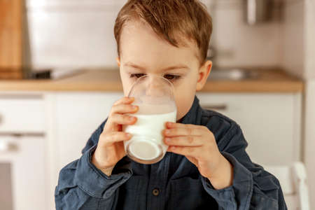 Little boy sitting in the kitchen and drinking milk. Fresh milk in glass, dairy healthy drink. Healthcare, source of calcium, lactose. Cozy and modern interior. Preschool child with casual clothing.の写真素材