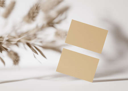 Blank brown cardboard business cards on white background with dried plants. Mock up for branding identity. Two cards, to show both sides. Template for graphic designers. Free, copy space. 3D renderingの写真素材