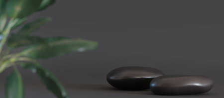 Black stones-podiums with plants on gray background. Elegant stage for product, cosmetic presentation. Natural mock up. Pedestal, platform for beauty products. Spa stone. Display, showcase. 3D render.の写真素材