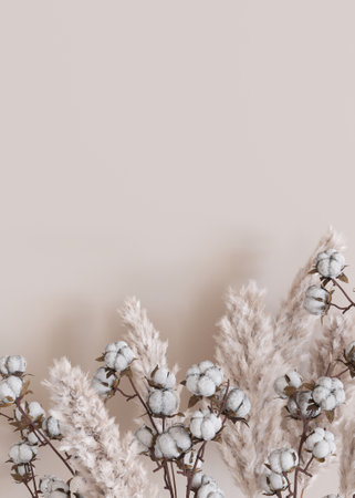 Beige vertical background with dried plants and empty space for text. Bottom border with copy space. Realistic pampas grass and cotton plants. 3D rendering.の写真素材