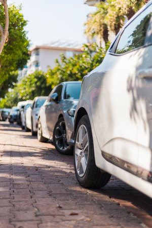 A row of various parked cars is visible along a sunny residential street. The trees cast dappled shadows, creating a pleasant atmosphere in an urban neighborhoodの写真素材