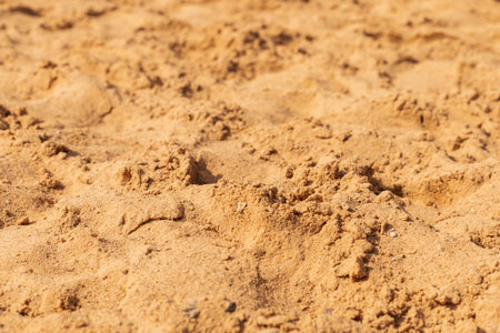 Golden sand covers the ground at a beach during a sunny afternoon. Natural patterns created by wind...