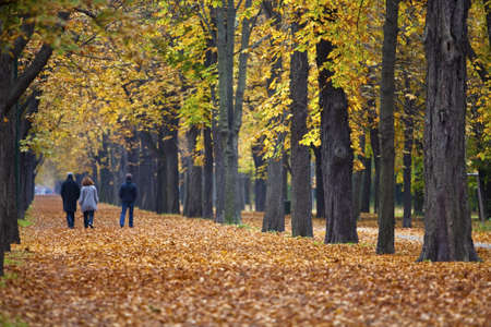 family walking through alley in fallの写真素材