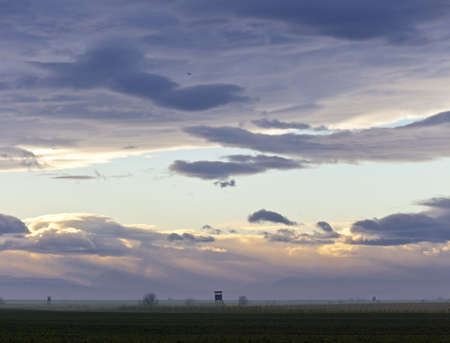 Moody sky at dusk above Nationalpark with tree stands used by hunters の写真素材