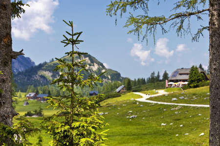 Mother Nature - Landscape of the Tauplitz Alm in Austriaの写真素材