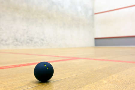 Squash ball in sport courtの写真素材