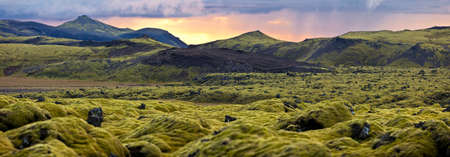 Surreal landscape with wooly moss of Iceland. の写真素材