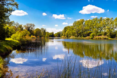 One of many lakes of the DanubeAuen National Park Vienna.の写真素材