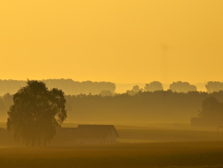 lonely house during misty sunrise in agricultural landscapeの写真素材