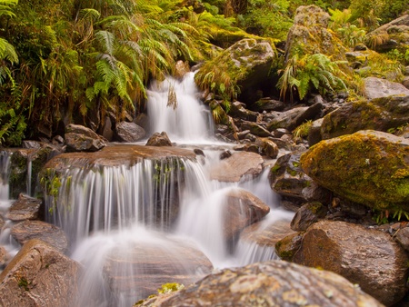 A rainforest waterfall in lush tropical forestの写真素材