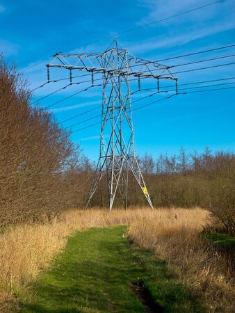 Electric power post in a natural conservation area