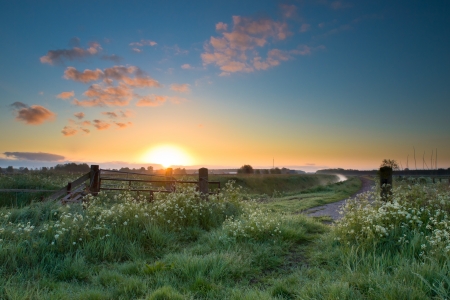 Colorful sunrise over traditional agricultural landscape in springの写真素材