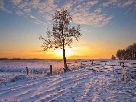 winter landscape with snowの写真素材