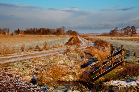 Rimed Rural Area in the Netherlands with Path Leading to Horizonの写真素材