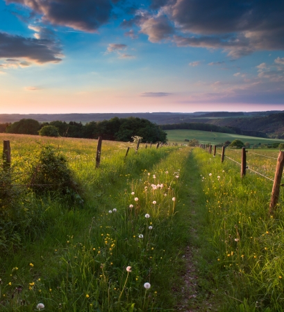 Trail is dissappearing on the horizon in german countryside with hillsの写真素材
