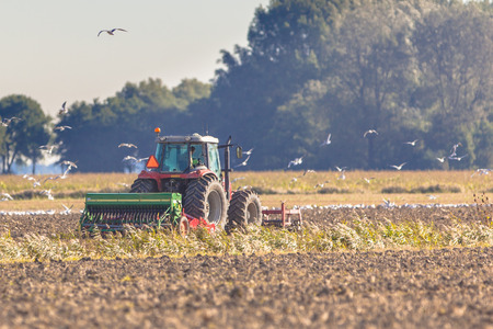 Farming in the Netherlands, Tractor with Plough in a Field with Birds Flying around