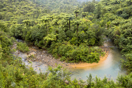 Meander in a Rainforest River, Northland New Zealandの写真素材