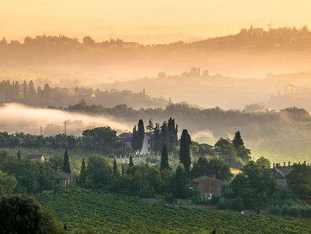 Cypress on the Hills of Tuscany on a Foggy morningの写真素材