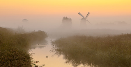 Traditional dutch Windmill in a wetland area on a foggy morning in septemberの写真素材
