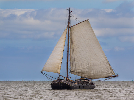 Traditional dutch brown fleet flatbottom sailing boat on the wadden seaの写真素材