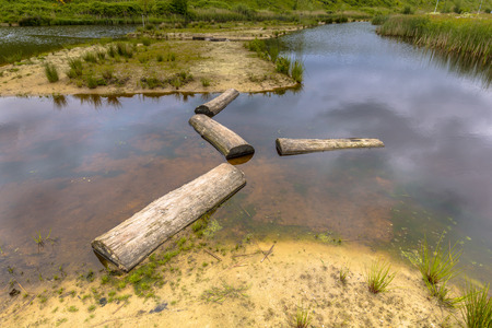 Logs as Stepping stones in public pond of park as part of playground for children. Good training to improve locomotion skills and dexterityの写真素材
