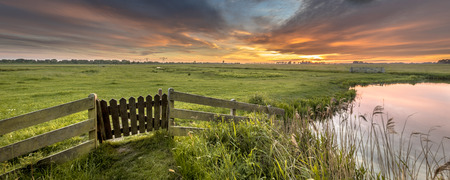 Panorama  gate view of agricultural landscape of dutch countryside in Groningen Netherlandsの写真素材