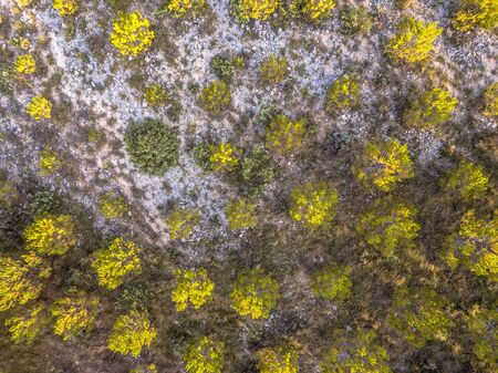 Sparsely vegetated barren landscape in Cevennes near Ganges, Occitania, Franceの写真素材