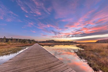 Boardwalk in heathland fen nature reserve landscape  in province of Drenthe, Netherlandsの写真素材