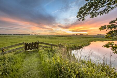 View from backyard of dairy farm over agricultural landscape of dutch countryside in Groningen Netherlandsの写真素材