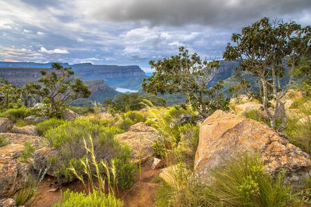 Natural vegetation and rocks in panoramic scenery of Blyde river Canyon Mpumalanga South Africa